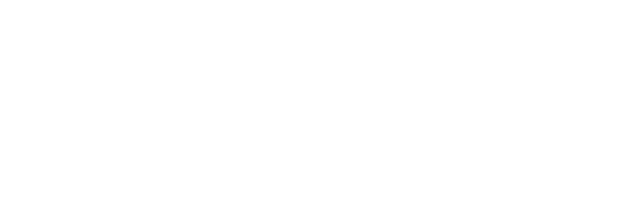 Top 9 Horizontal Logo