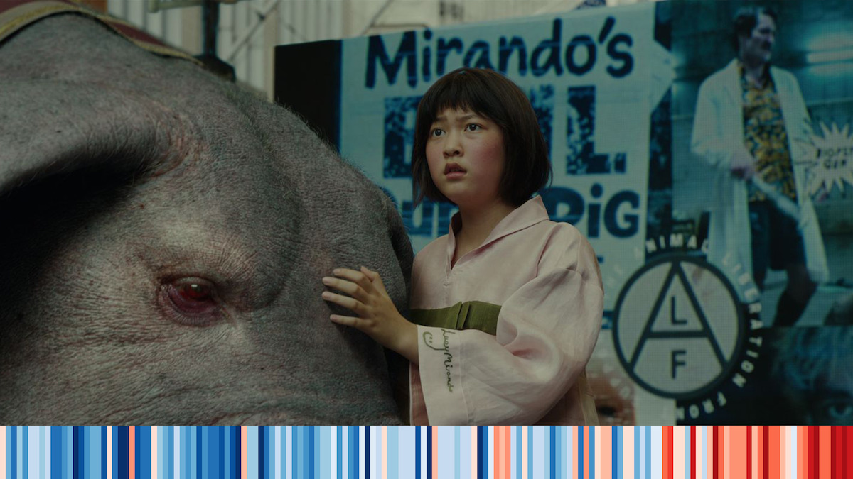 A woman touching the head of a large animal. 