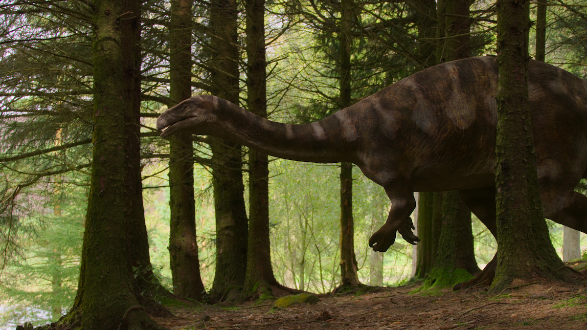 Plateosaurus in ‘Life on Our Planet.’