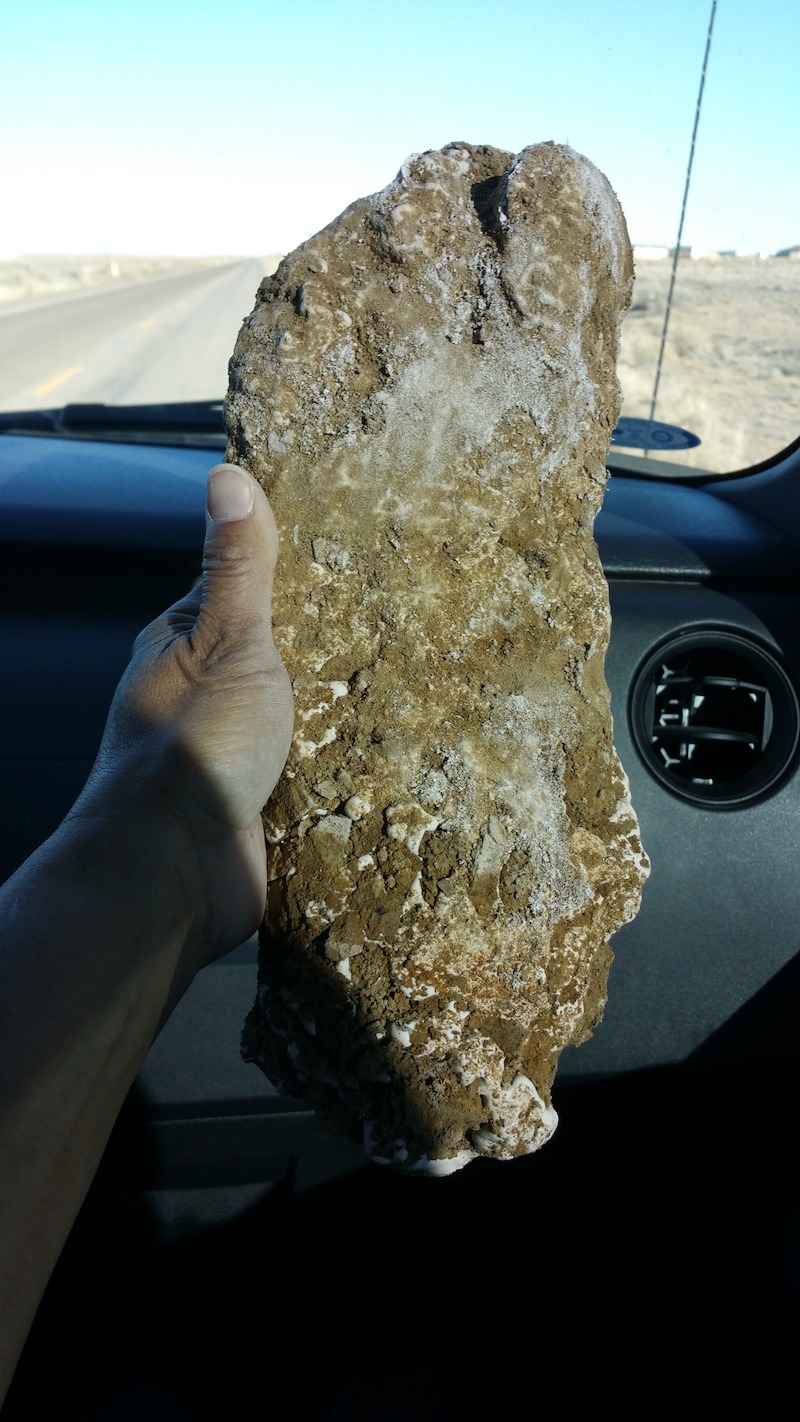 Plaster cast of bigfoot footprint, provided by Brenda Harris. - Evidence of Bigfoot