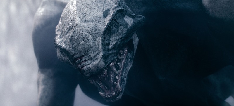 A large gray lizard-like creature in season 1 of 'Avatar: The Last Airbender'