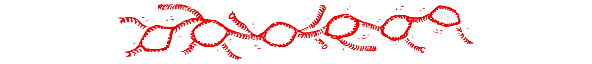 Lymphatic Divider