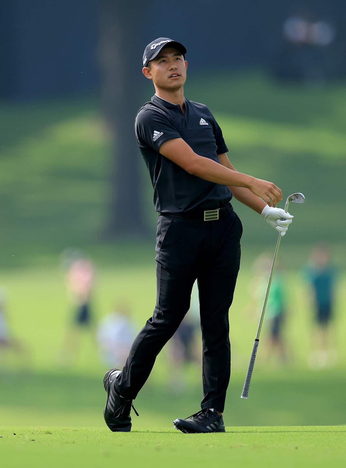 Golfer Collin Morikawa watches out for his ball after a shot.