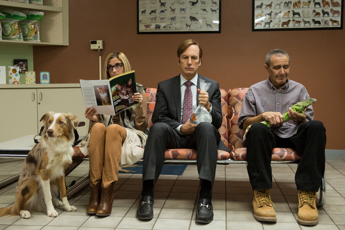 Saul Goodman holding a goldfish in a vet's office. 