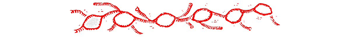 Lymphatic Divider