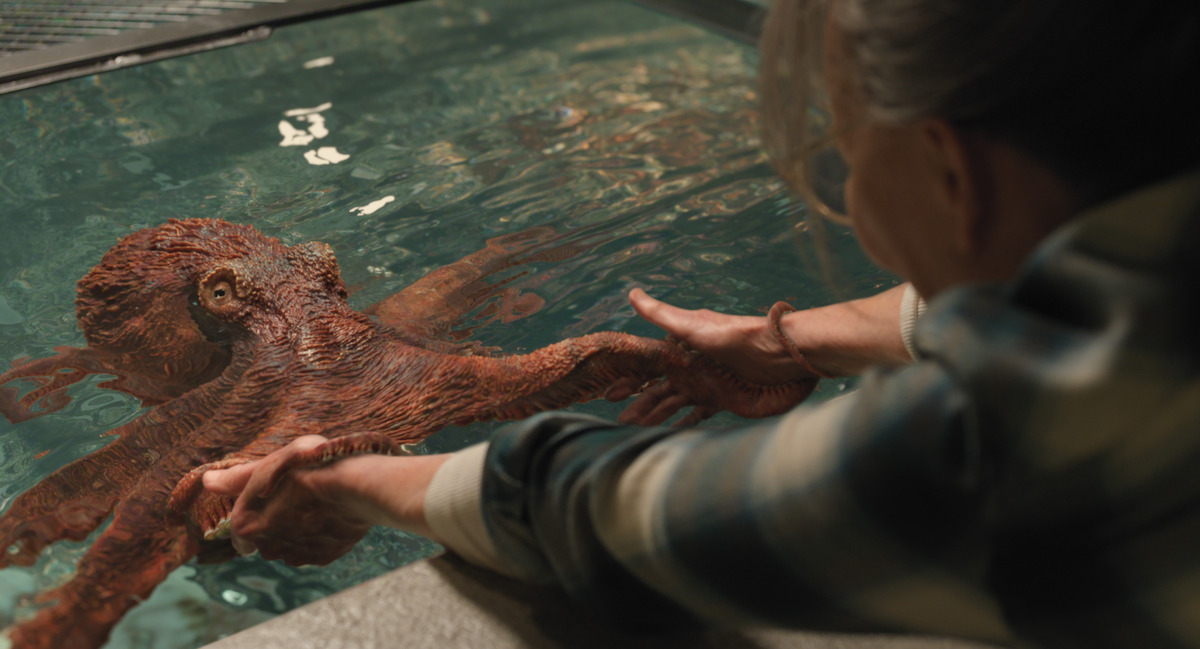 Marcellus the octopus and Sally Field as Tova in ‘Remarkably Bright Creatures’