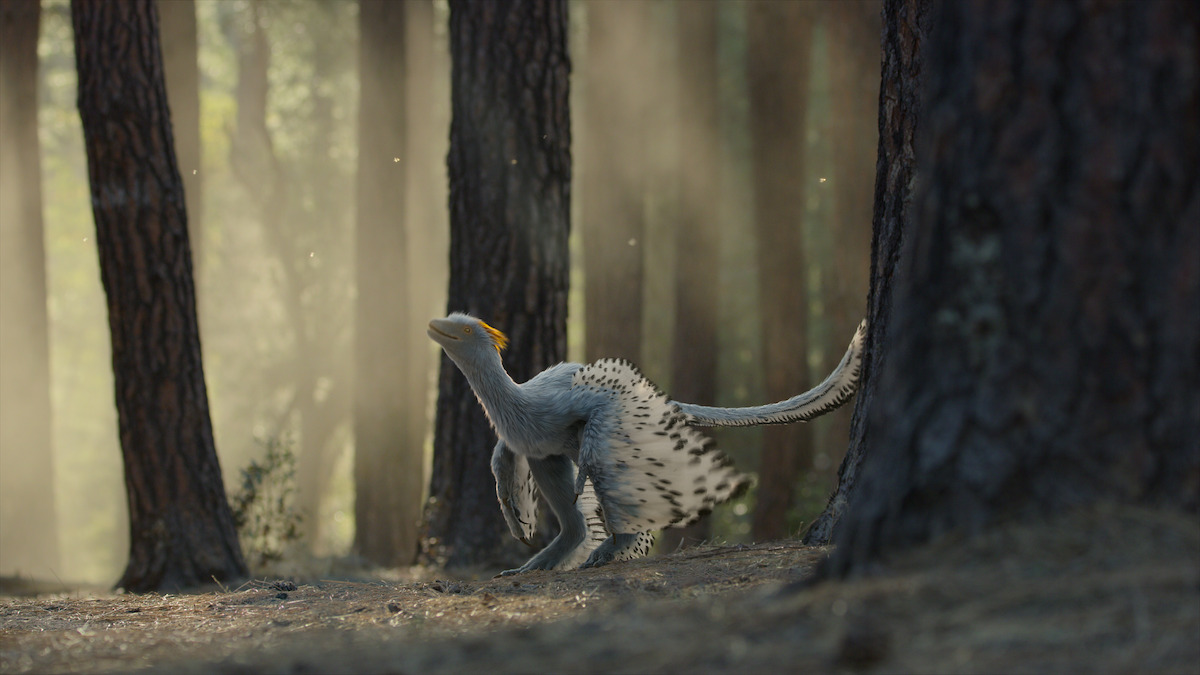 Anchiornis in ‘Life on Our Planet.’
