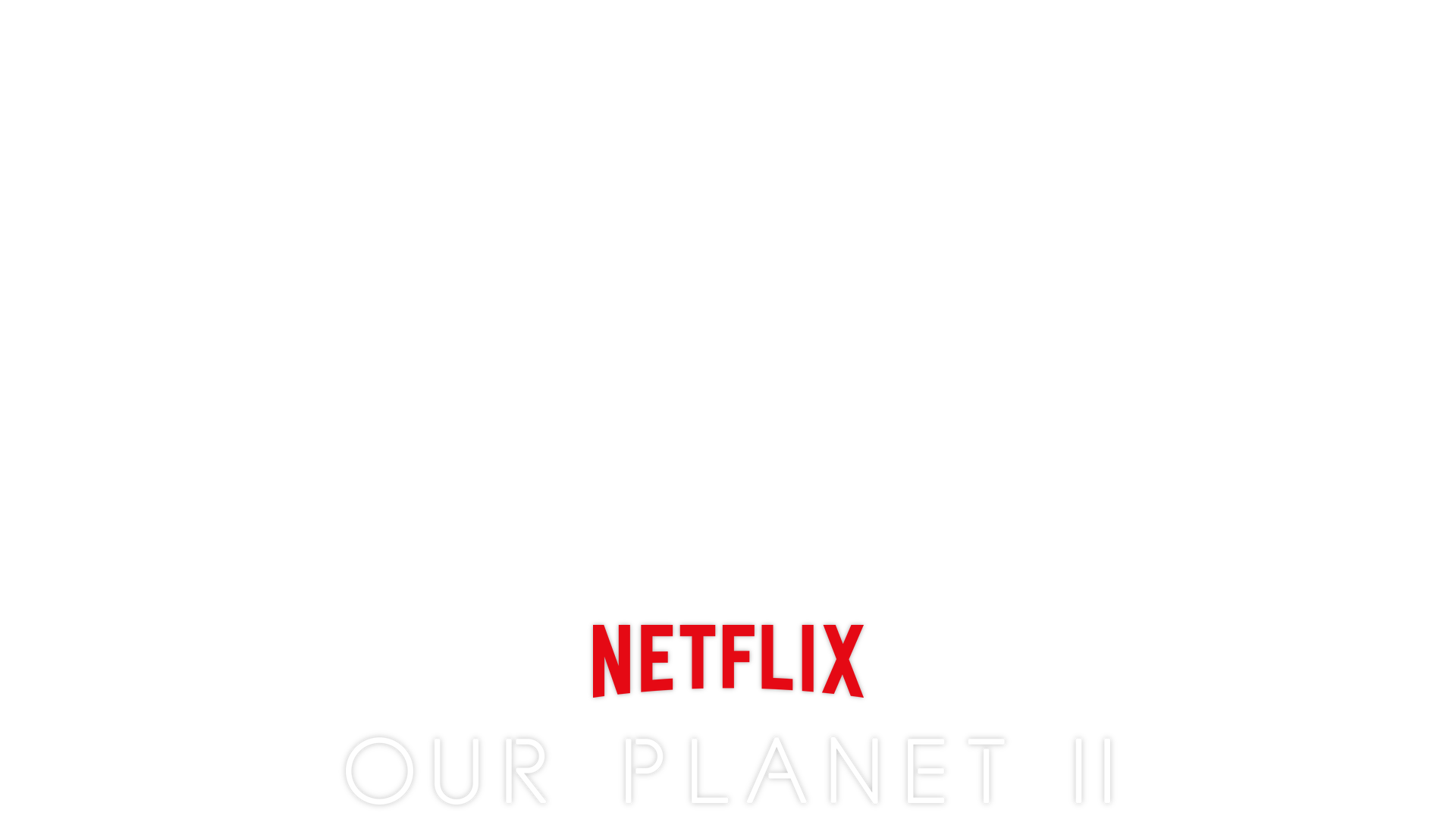 Our Planet II