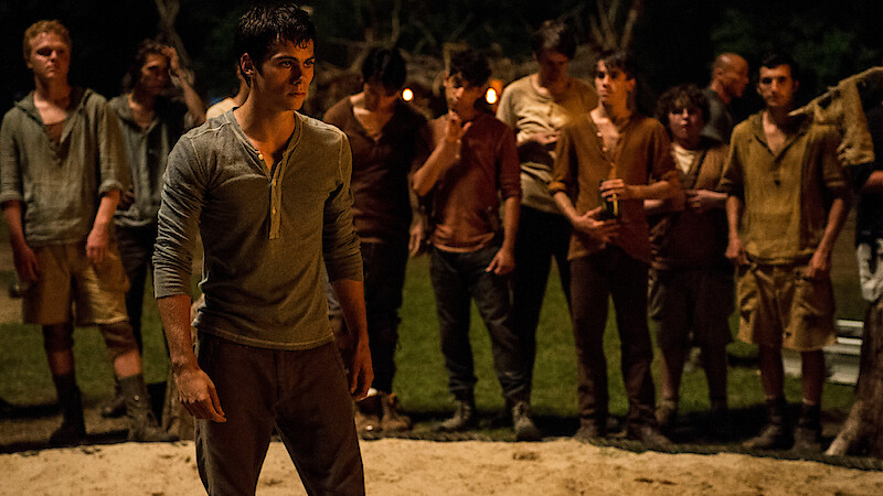THE MAZE RUNNER With the help of fellow residents of the Glade, Thomas (Dylan O'Brien, center) devises an escape plan. TM and © 2014 Twentieth Century Fox Film Corporation. All Rights Reserved. Not for sale or duplication.
