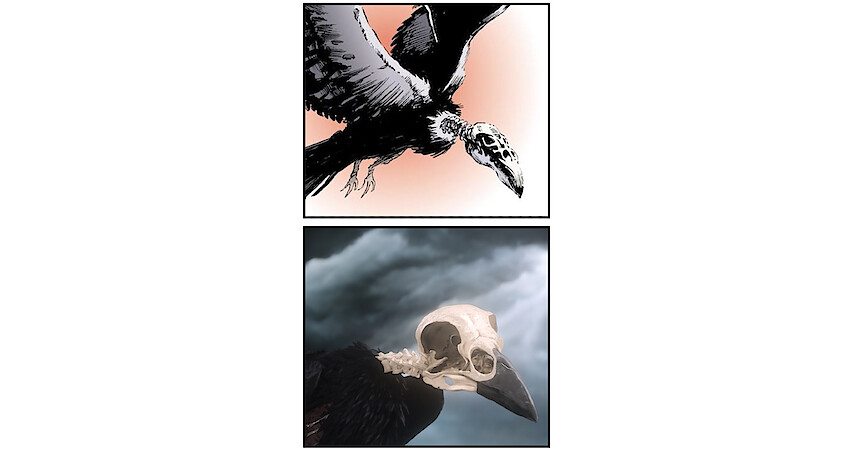 Observe How the Comics were Adapted for 'The Sandman'