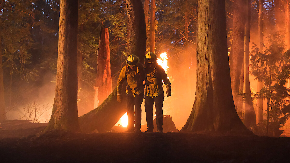 Two men walk out of a burning forest at night in 'Fire Country'