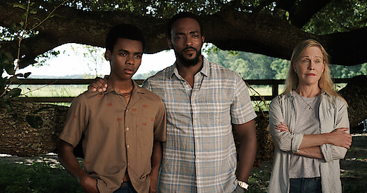 A family of three stand in front of a tree.