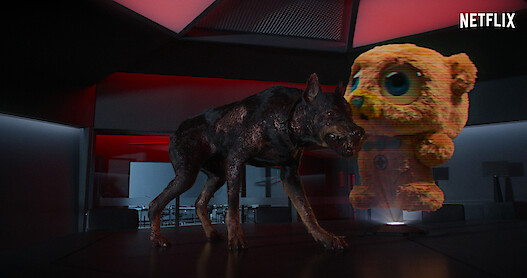 Photo of Infected dog
