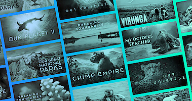 Take a Tour Through the World’s Wildest Places with These Nature Documentaries