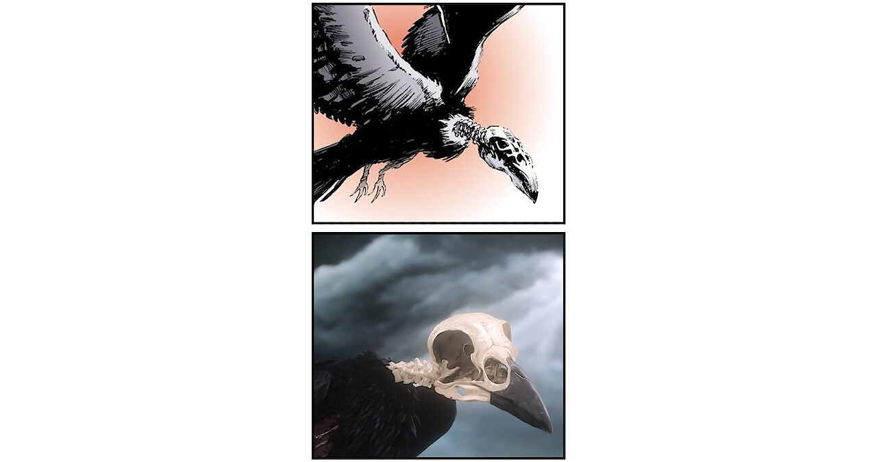 Observe How the Comics were Adapted for 'The Sandman'