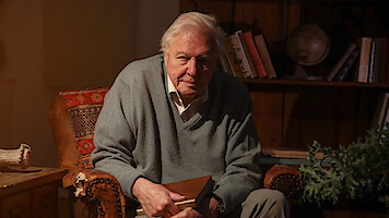 Elderly man sitting in a cozy, warmly lit room on an armchair, holding a notebook; bookshelf with books and a globe, potted plant and rustic decor in the background.