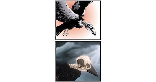 Observe How the Comics were Adapted for 'The Sandman'