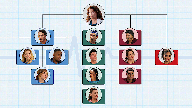 Hospital org chart of every doctor in Pulse
