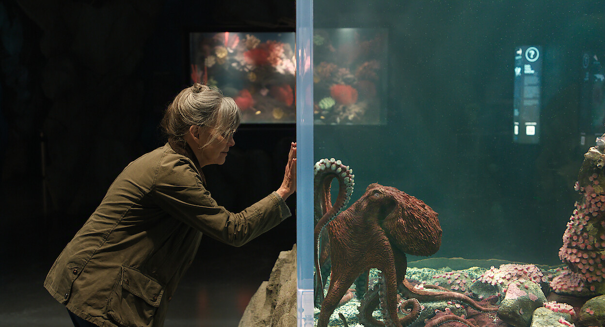 Sally Field as Tova in a green jacket looks through glass at an octopus in a large aquarium, surrounded by rocks and sea life, with dim lighting and a marine exhibit in the background.