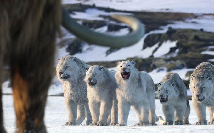 Chapter 8: Age of Ice and Fire