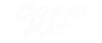 Cobra Kai: Season 6